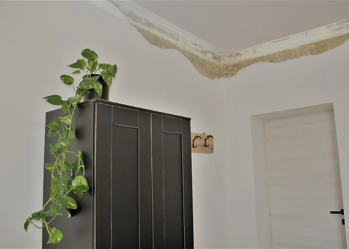 Rial Maison Гостевой дом Бергамо