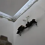 Rial Maison Гостевой дом Бергамо